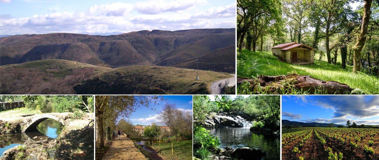 Camino de Santiago