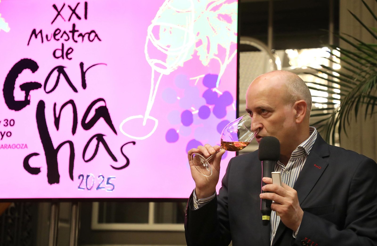 Muestra de GArnachas DOP Borja