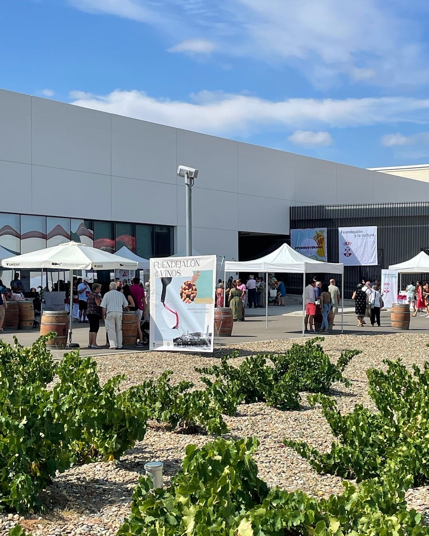 Asistentes en la muestra Fuendejalón D’Vinos 2025 frente a la bodega Aragonesas en Fuendejalón