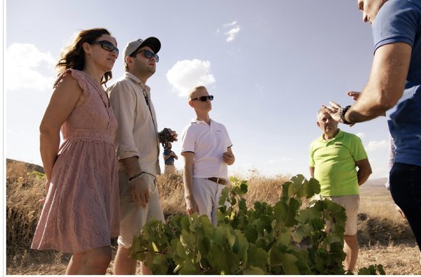 “Importadores polacos visitan los viñedos de garnacha de altura en la DOP Calatayud”