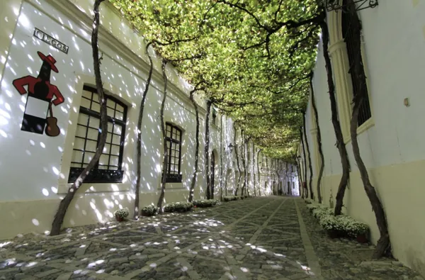 Ambiente exterior de la Bodega