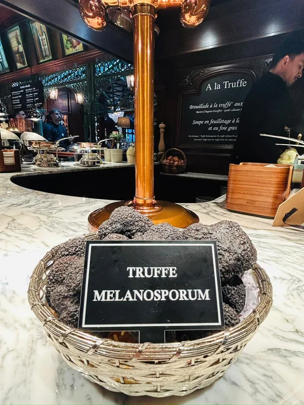 Trufa melanosporum presentada en Les Grands Buffets
