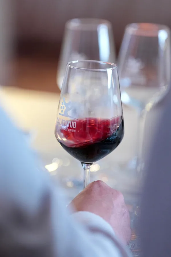 Copa de vino tinto de Garnacha de la D.O.P. Calatayud durante una cata