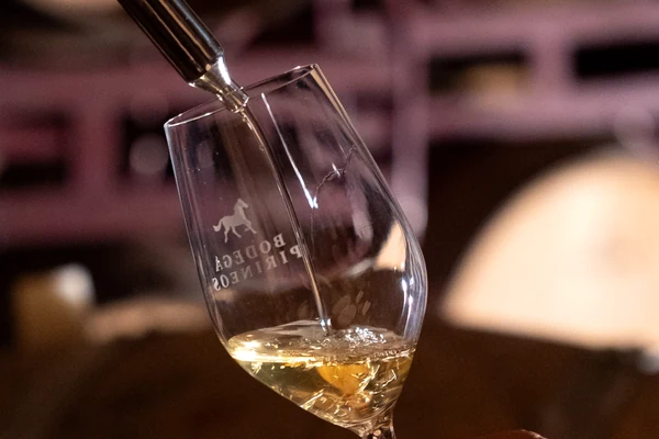 tiempo liquido bodega pirineos cata en sala de barricas