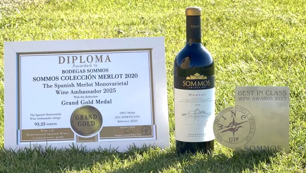  Sommos Colección Merlot 2020 mejor Merlot de España Wine Up