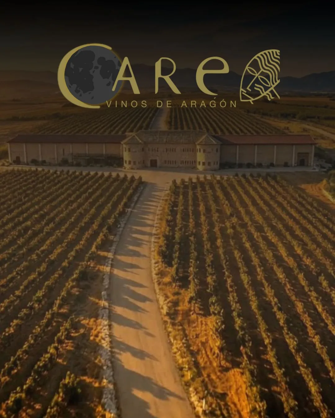 “Viñedos de Bodegas Care en Cariñena al atardecer, preparados para observar el eclipse solar total”.