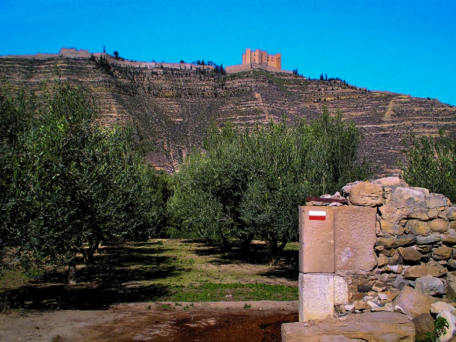 Señal del GR 99 entre olivos con el castillo de Mequinenza al fondo