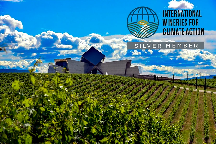 Bodega SOMMOS y viñedos con el distintivo Silver Member de IWCA